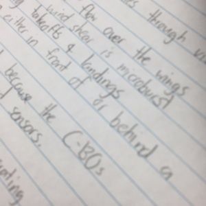 Meet your Posher, Guy